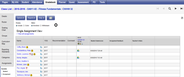 Types of assignment statement picture