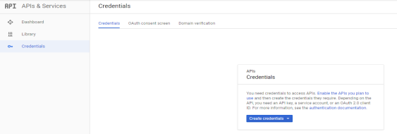Google Credentials screen